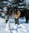 Winter with "99"