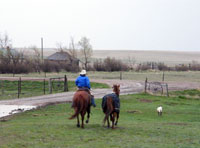 Ridin' in the rain!