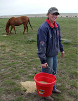 Spring Chores