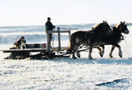 Winter Chores