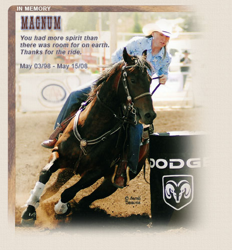 In Memory of a Great Barrel Horse - Magnum