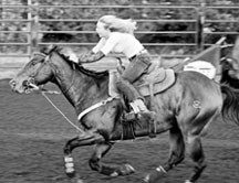 RC Brooks A Streakin - 2011 NFR Backup Horse