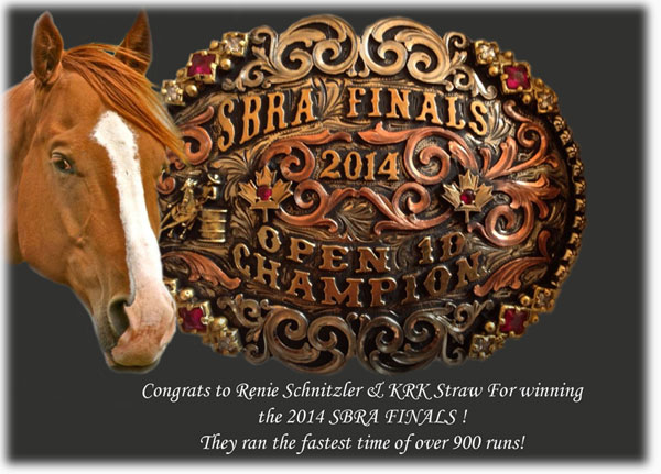 KRK Straw - SBRA Finals Champions