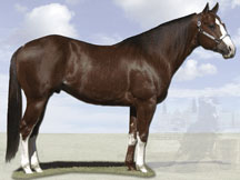 As Good As Nick Gets - Barrel Horse Sire by Dr Nick Bar